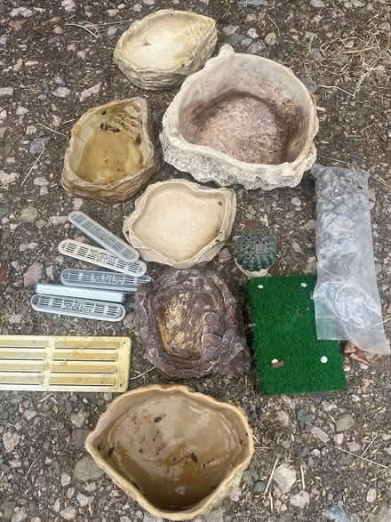 Photo of free Reptile bits (Blackawton) #2