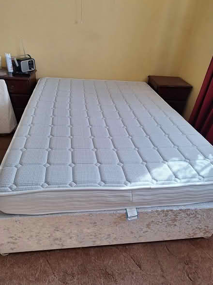 Photo of free double bed (goodwyns dorking) #1