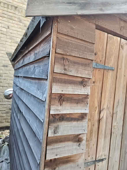 Photo of free Garden shed, trike (Chapel End E4) #3