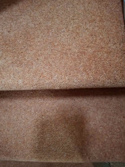 Photo of free Piece of carpet (Lightwater GU18) #1
