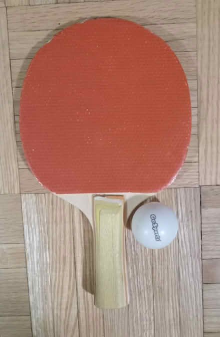 Photo of free One ping-pong paddle + ball (Etobicoke (Kipling /Eglinton)) #1