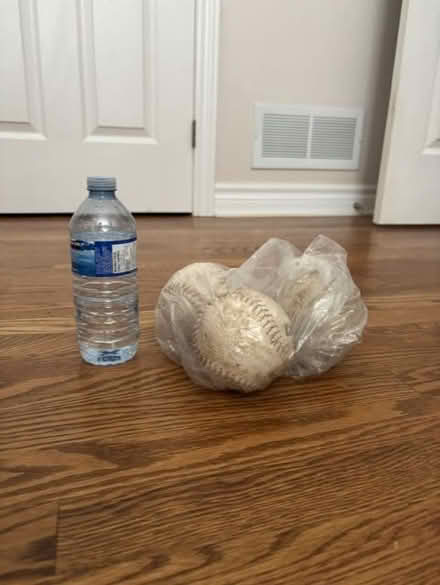 Photo of free Soft balls (Greely) #1