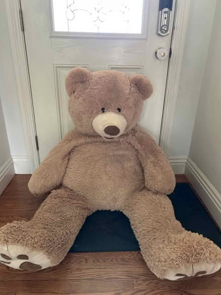 Photo of free Life size teddy bear (Granada Hills) #1