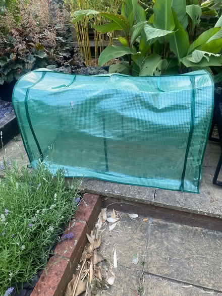 Photo of free Mini greenhouse (Preston Park area BN1) #1