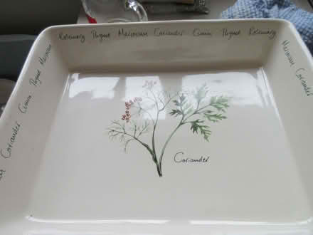 Photo of free A dish (Oswestry SY11) #1