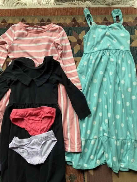 Photo of free little girls clothes 2T to 4T (Las Palmas Pk, Snvle) #1