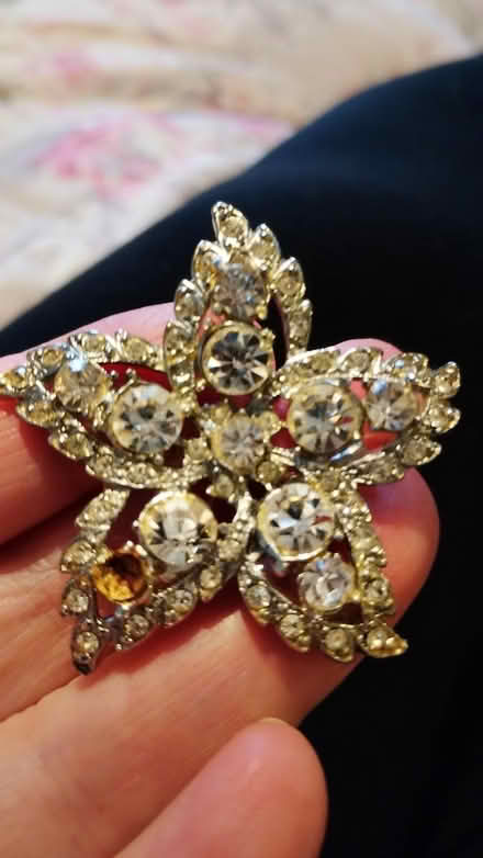 Photo of free Star brooch (Chesser EH14) #2