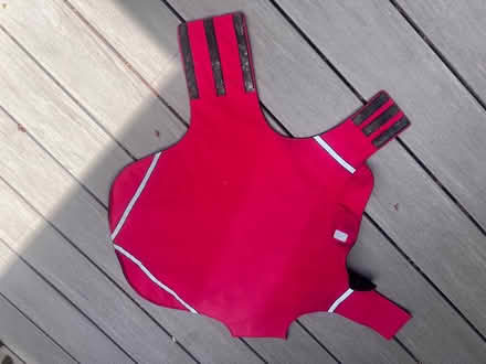 Photo of free XL dog jacket (Meadowbrook, North Seattle) #3