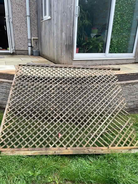 Photo of free Trellis panel (Galgate LA2) #1