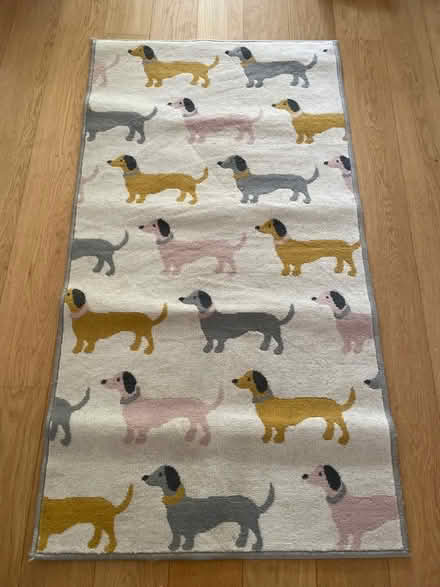 Photo of free Dachshund rug (North Road BA2) #1