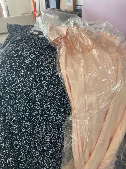 Photo of free Dressy dresses women’s size 18 (Foothill Boulevard Cupertino) #1