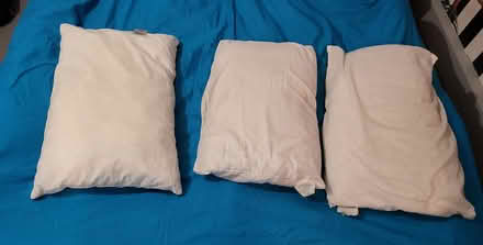 Photo of free Standard pillows (Bromley BR2) #1