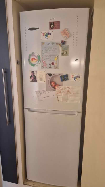Photo of free Fridge Freezer slumline (W38qg) #3