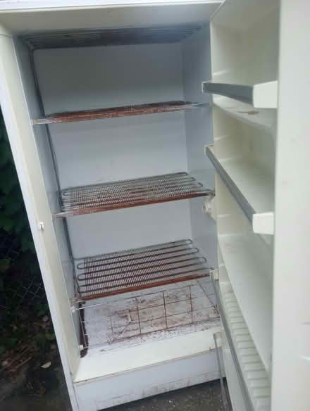 Photo of free Commercial freezer (Catonsville near Westview) #2