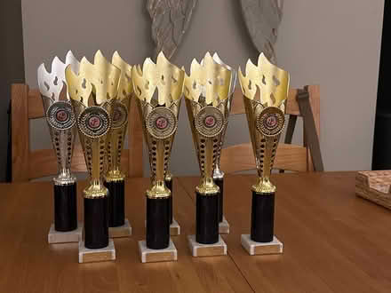 Photo of free Trophies (Farnborough GU14) #1
