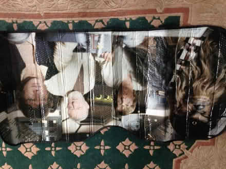 Photo of free Star Wars windscreen sunshade (Oakridge RG21) #1
