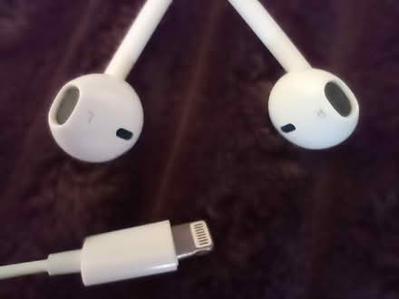 Photo of free Apple Earbuds (Kingsway BA2) #2