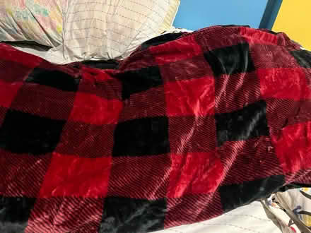 Photo of free New fleece blanket (queen size) (East Village) #1
