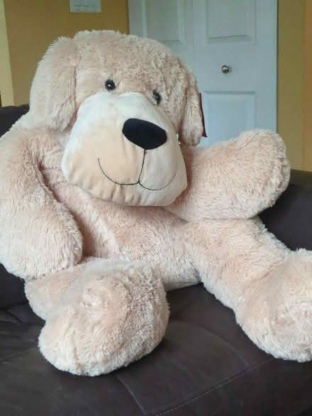 Photo of free New Big puppy dog (Leonardo/Middletown) #1