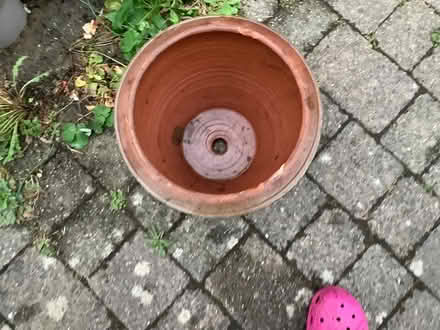 Photo of free Garden terracotta plant pot (Stanwell Village TW19) #3