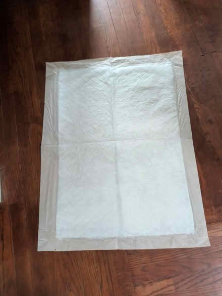 Photo of free Large bag of dog pads 35x26.5 inch (Sunnyvale) #1