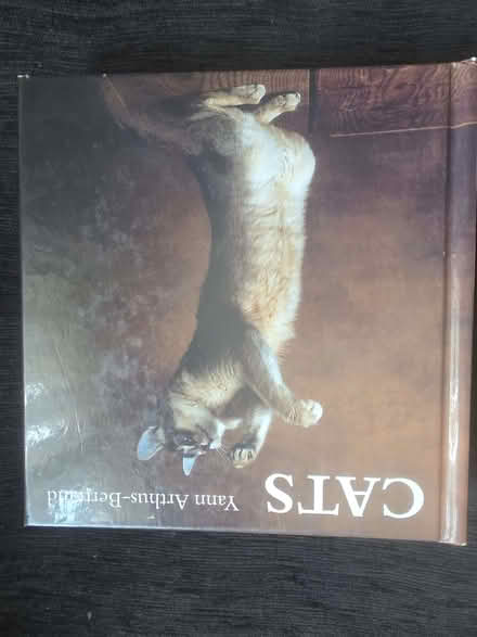 Photo of free Cat book (Upper Luton ME5) #1