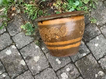 Photo of free Garden terracotta plant pot (Stanwell Village TW19) #1