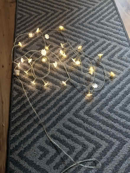 Photo of free White flower plug in lights (Caversham RG4) #1