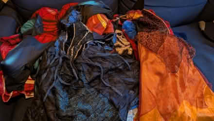 Photo of free Large pile of dressing up clothes (Walkley S6) #1