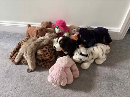 Photo of free Soft toy selection (Billericay CM11) #1