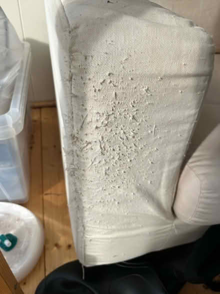 Photo of free 3 seater sofa bed (Frome BA11) #2