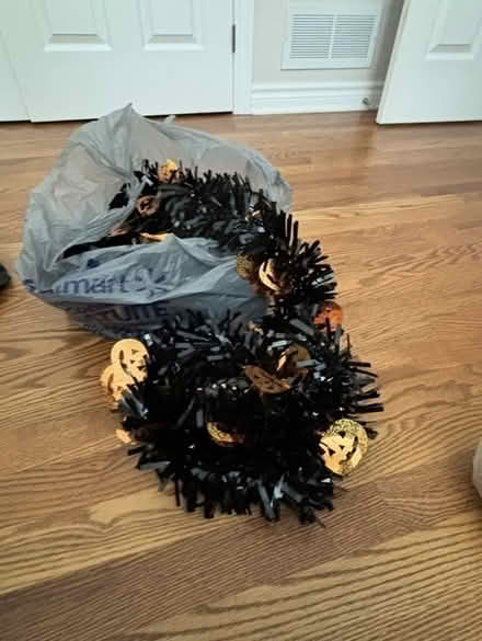 Photo of free Halloween garland (Greely) #1