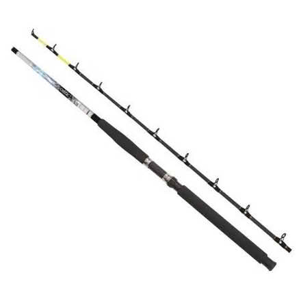 Photo of Beach Fishing Rod (Cadhay Barton EX11) #1