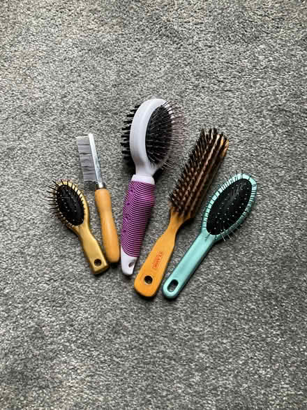 Photo of free Dog/cat grooming brushes (Oxton CH43) #1