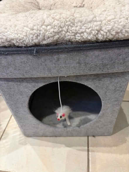 Photo of free Grey and cream cat bed with mouse (Poplars SG2) #2