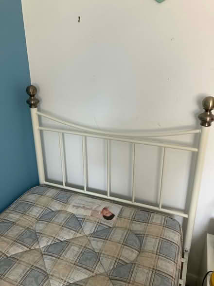 Photo of free Single beframe and mattress (Minchinhampton GL6) #2