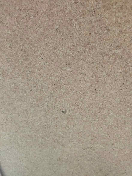 Photo of free Pin board (Fleetville AL1) #3