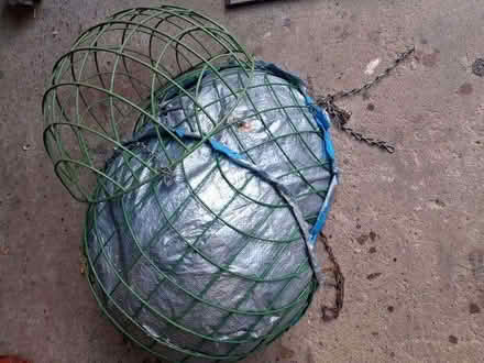 Photo of free 4 hanging baskets (Wellesbourne CV35) #1