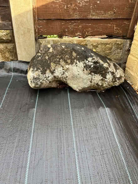 Photo of free Rockery Stones (West End LA3) #1