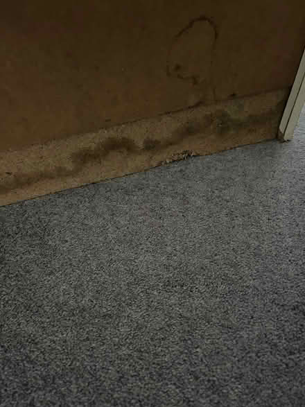 Photo of free Vintage Arkana chest of drawers 1960s (Kingsway BA2) #3