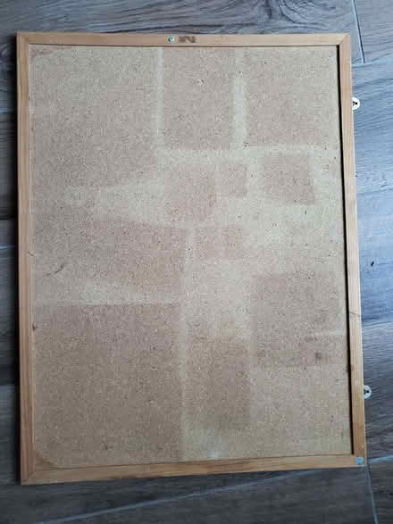 Photo of free Pinboard (Wallands Park BN7) #1