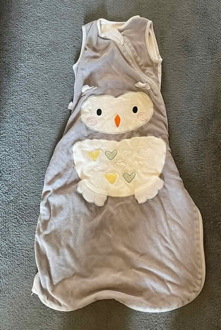 Photo of free Baby Sleeping Bag (E10) #1