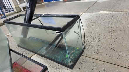 Photo of free fish tanks (Near tunxis College) #3