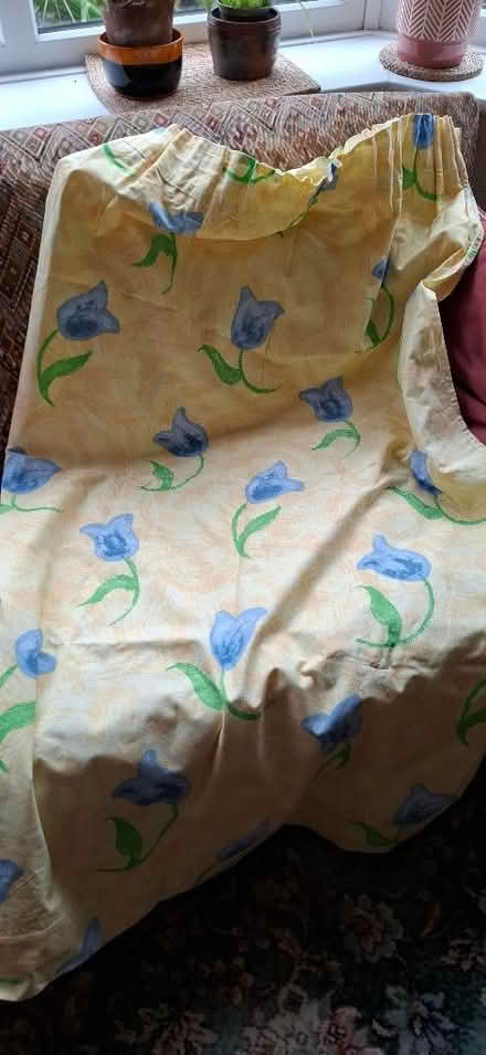 Photo of free Curtains - One Pair (Harrogate HG1) #1