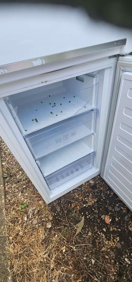 Photo of free Large fridge freezer (Edlesborough LU6) #1