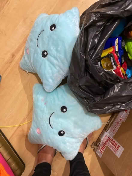 Photo of free Bag mix toys (Newport Pagnell MK16) #2