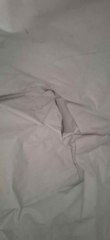 Photo of free Cool bag (Harrogate HG1) #3