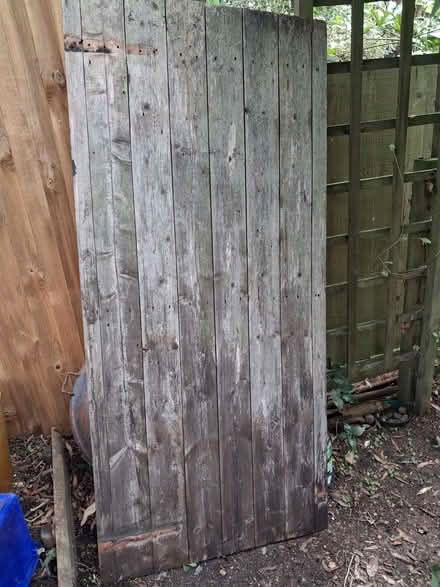 Photo of free Shed door/gate (Thorpe Hamlet NR1) #1