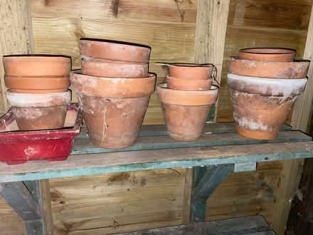 Photo of free Plastic plant pots (approx 150) (Monmouth) #4