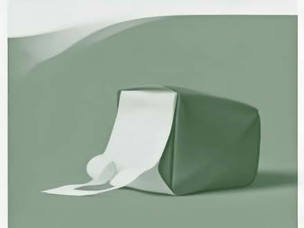 Photo of free Bags of cement (Skaters' Meadow CB3) #1